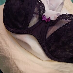 Sexy Passionata Bra with Mesh and Bow - Regal Purple